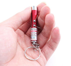 Laser Pointer Pen Play Cat Toy